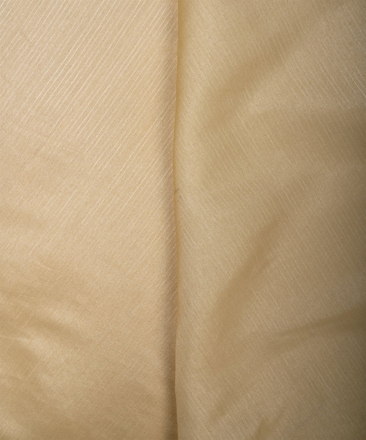 Light Biege Plain Dyed Tussar Silk Fabric